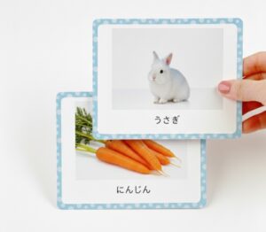 片面大きく絵　片面に大きく文字や数字などシンプルなフラッシュカード